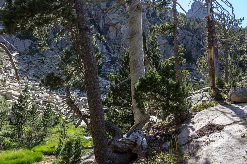 1100_7282_Batisielles_Valle-de-Estos_Huesca_Spain.jpg