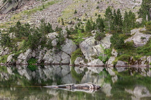 1100 7337 Batisielles Valle-de-Estos Huesca Spain