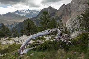 1100 7357 Batisielles Valle-de-Estos Huesca Spain