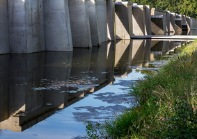 1100 7568 Waterloopbos - Marknesse