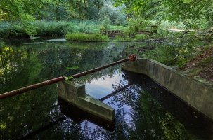 1100 7597 Waterloopbos - Marknesse