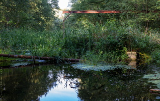1100 7609 Waterloopbos - Marknesse