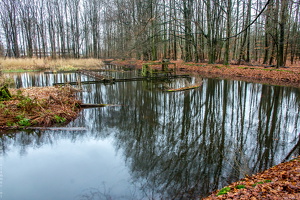 1100 7802 Waterloopbos Marknesse The Netherlands