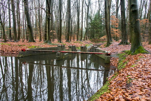 1100 7803 Waterloopbos Marknesse The Netherlands