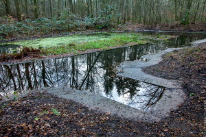 1100 7819 Waterloopbos Marknesse The Netherlands