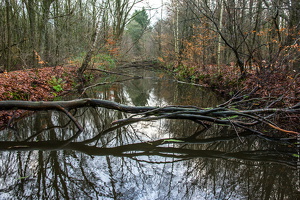 1100 7820 Waterloopbos Marknesse The Netherlands