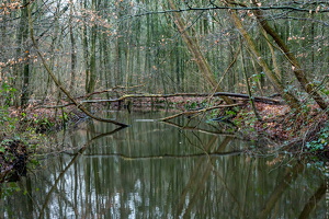 1100 7825 Waterloopbos Marknesse
