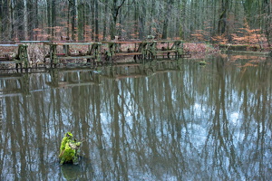 1100 7835 Waterloopbos Marknesse