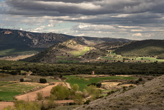 7R406751.jpg