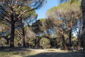  MG 8720-as-Smart-Object-1