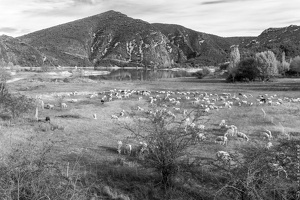 115431118 00343 BW Mediano Huesca Spain