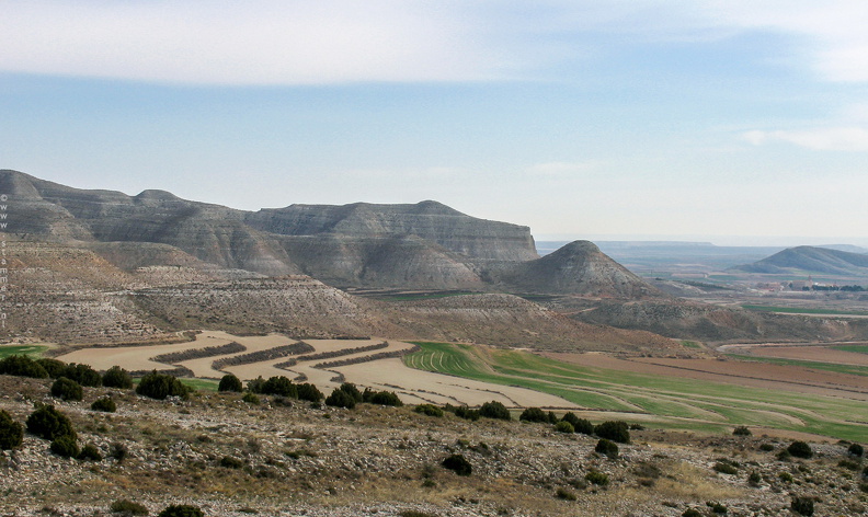 378_7804_Monegros_Zaragoza_Spain.jpg